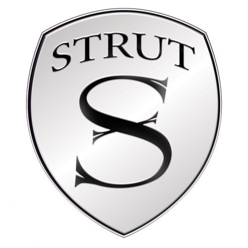 strut-tesla-081215-logo